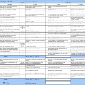 P-M Analysis Audit Form