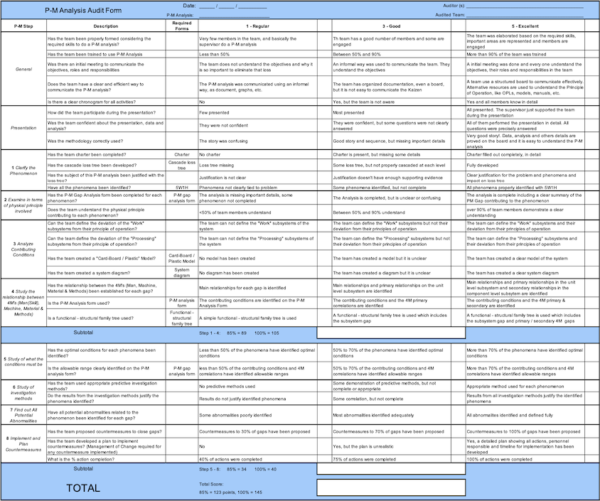 P-M Analysis Audit Form