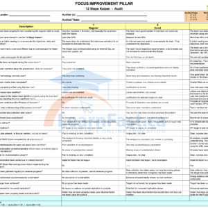 12-step Kaizen Audit Form