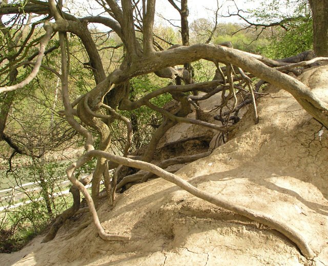 Can Root Cause Analysis Be Applied to Minor Defects? Insights from Lean Ways of Working