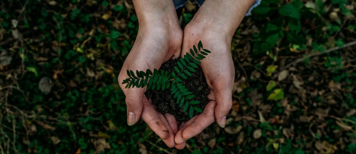 The Troubling Talk of Sustainability